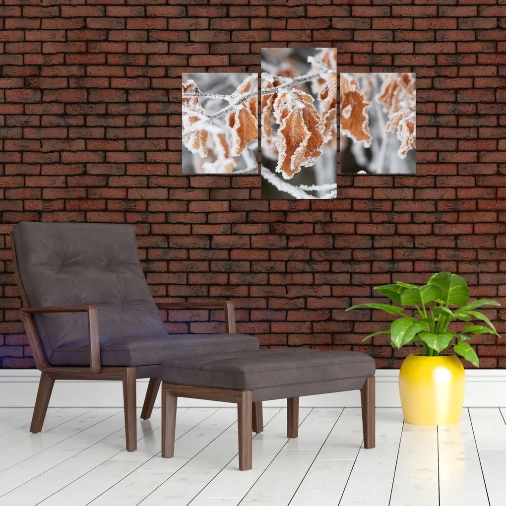 Tablou - Frunze înghețate (90x60 cm)