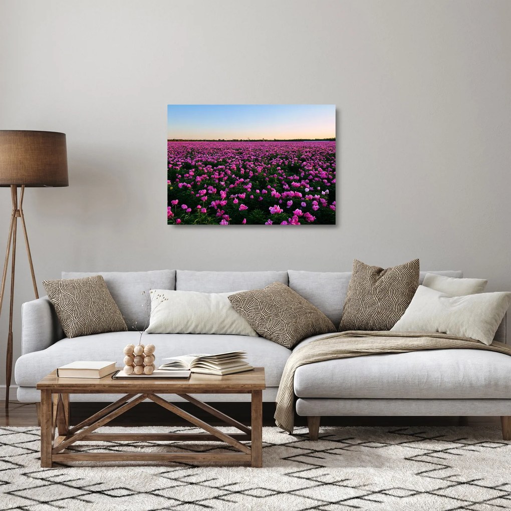 Tablou pe sticlă - Pajiștea cu lalele violet (70x50 cm)