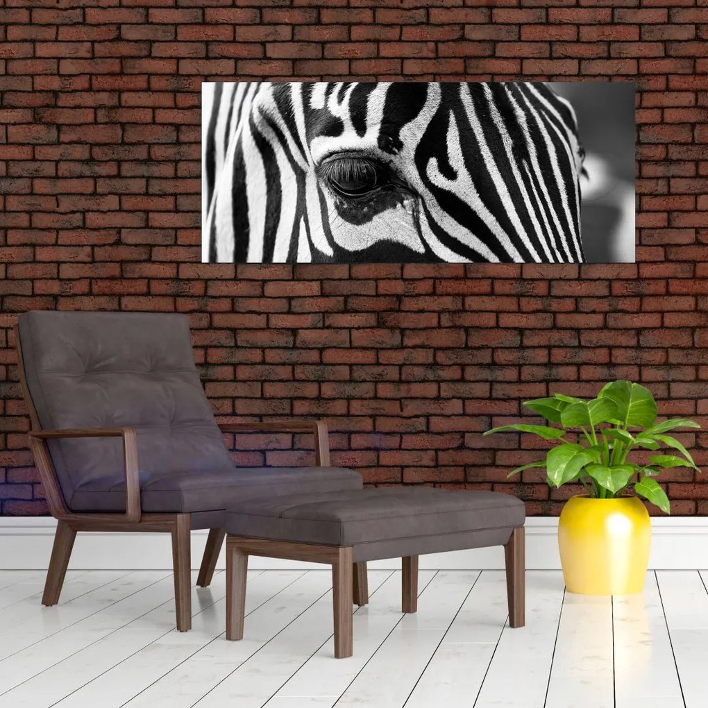 Tablou cu zebră (120x50 cm)