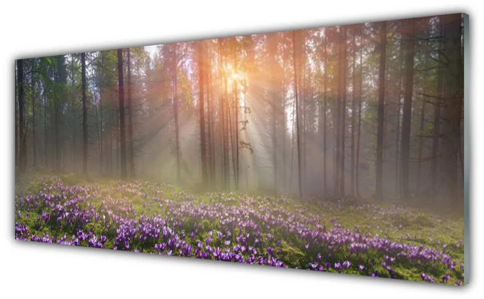 Tablou pe sticla Pădure Flori Natura Roz Verde Maro