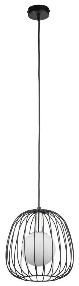 Lustră pe cablu BELL 1xG9/12W/230V d. 24 cm negru/crom lucios