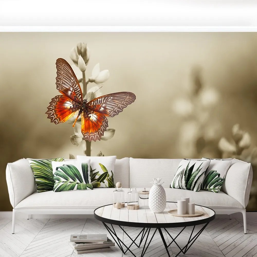 Fototapet fluture flori