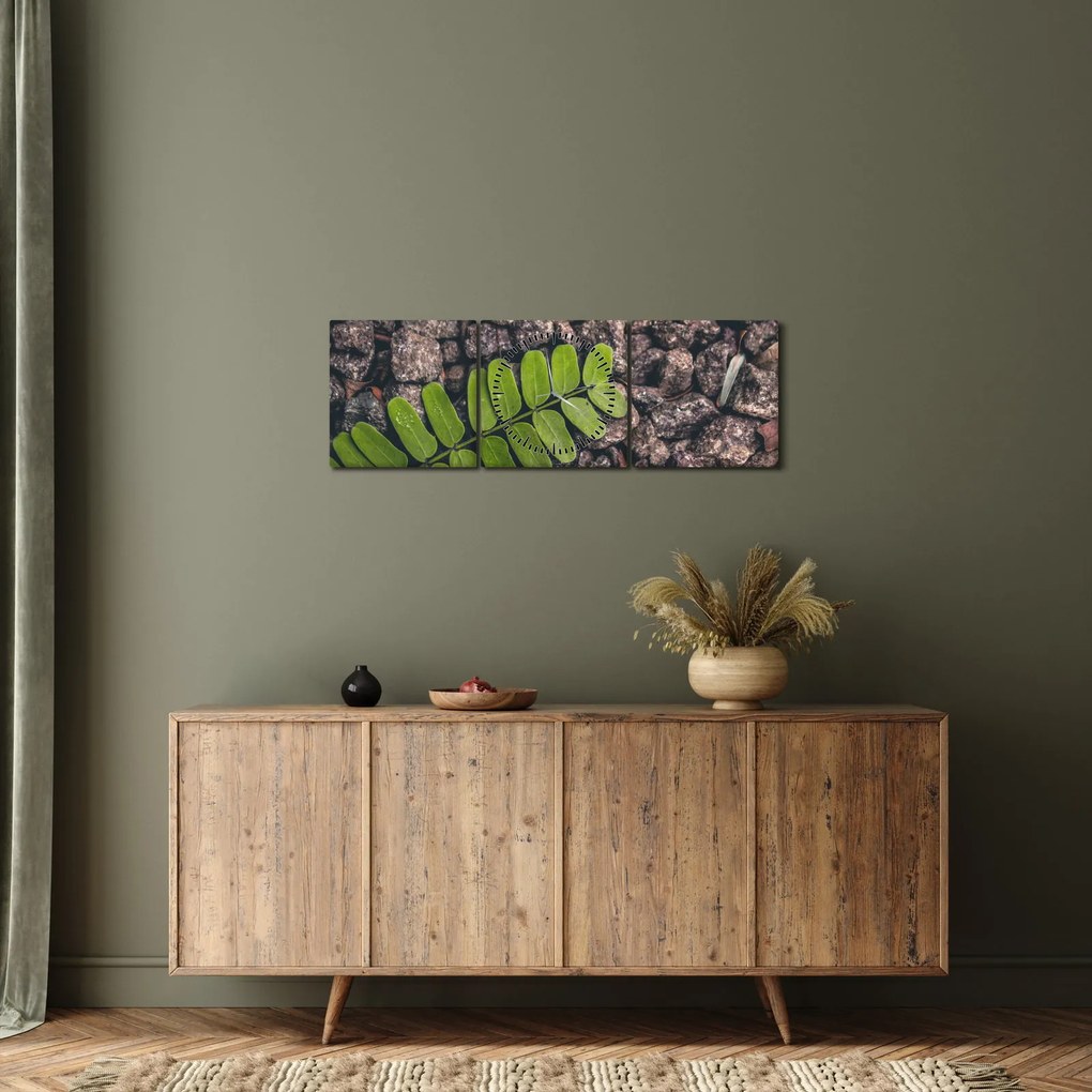 Tablou cu planta verde (cu ceas) (90x30 cm)