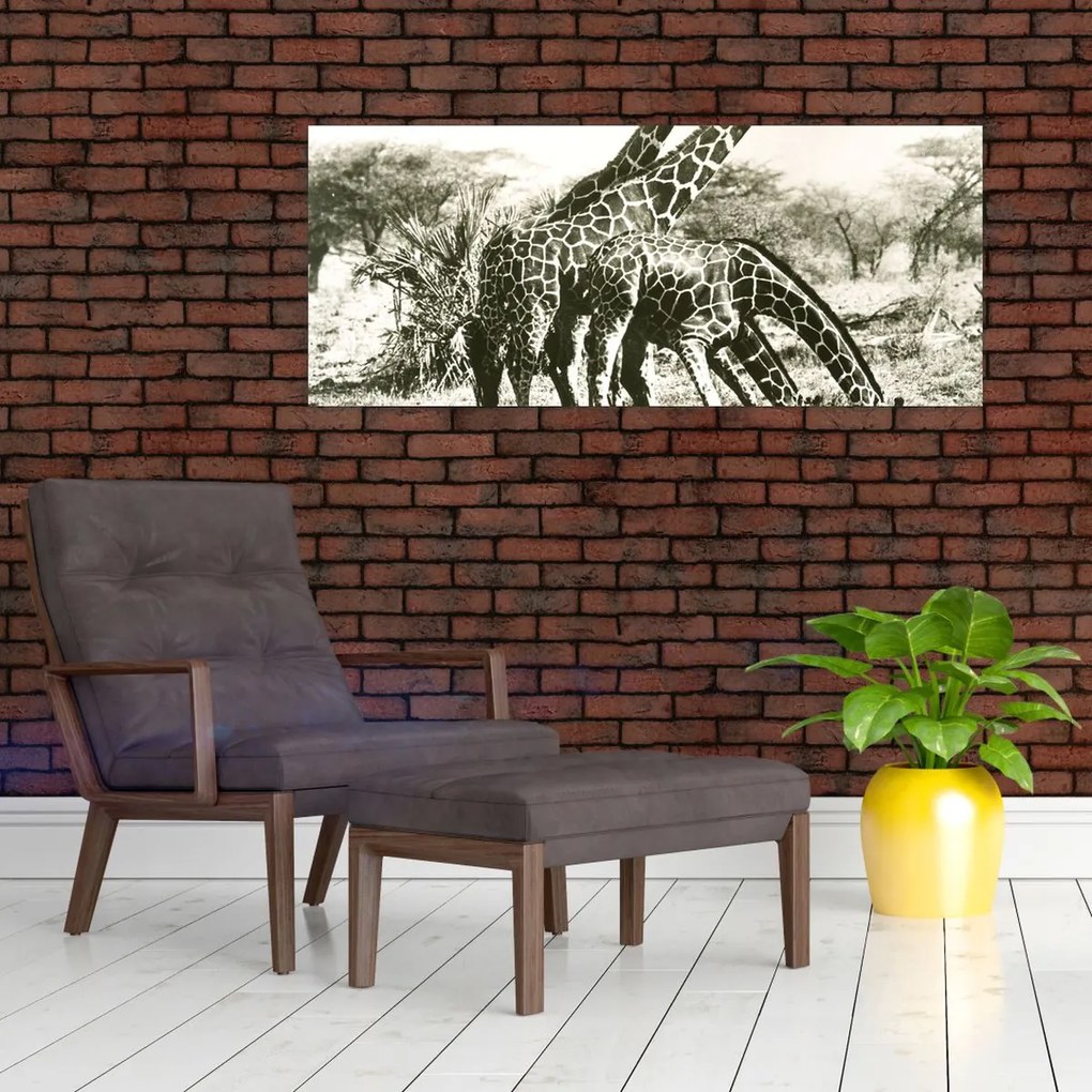 Tablou - Girafe, de epocă (120x50 cm)