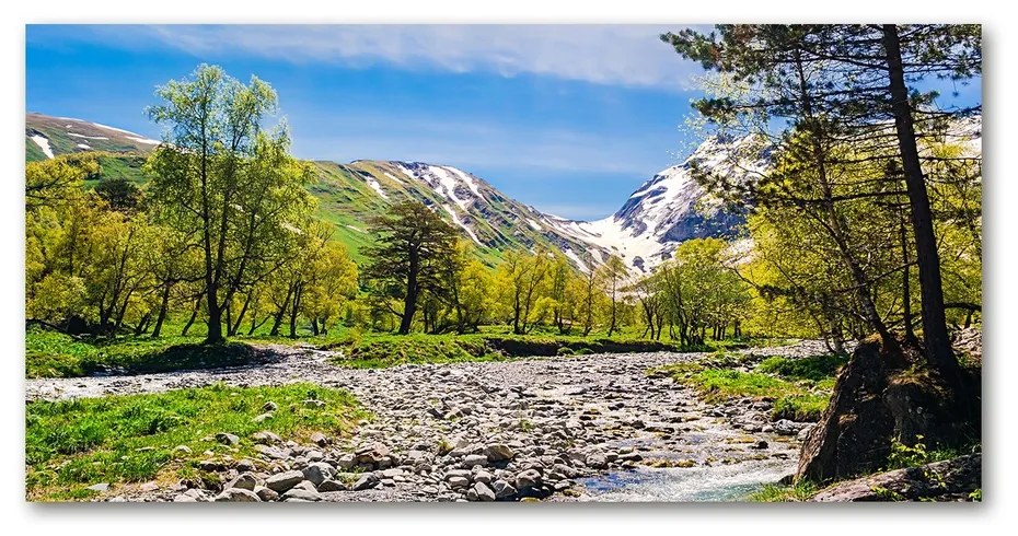 Tablou sticlă acrilică River în munți
