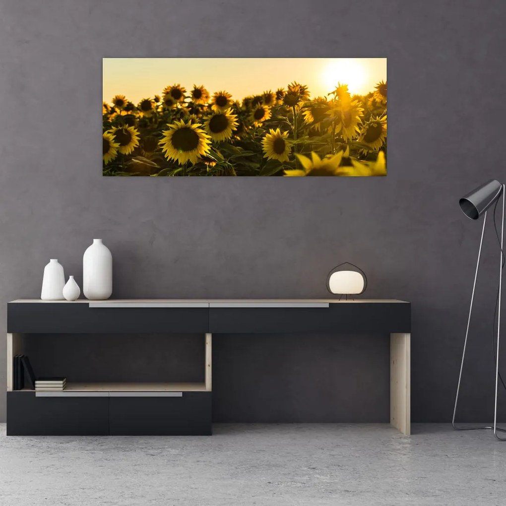 Tablou cu lan de floarea soarelui (120x50 cm)