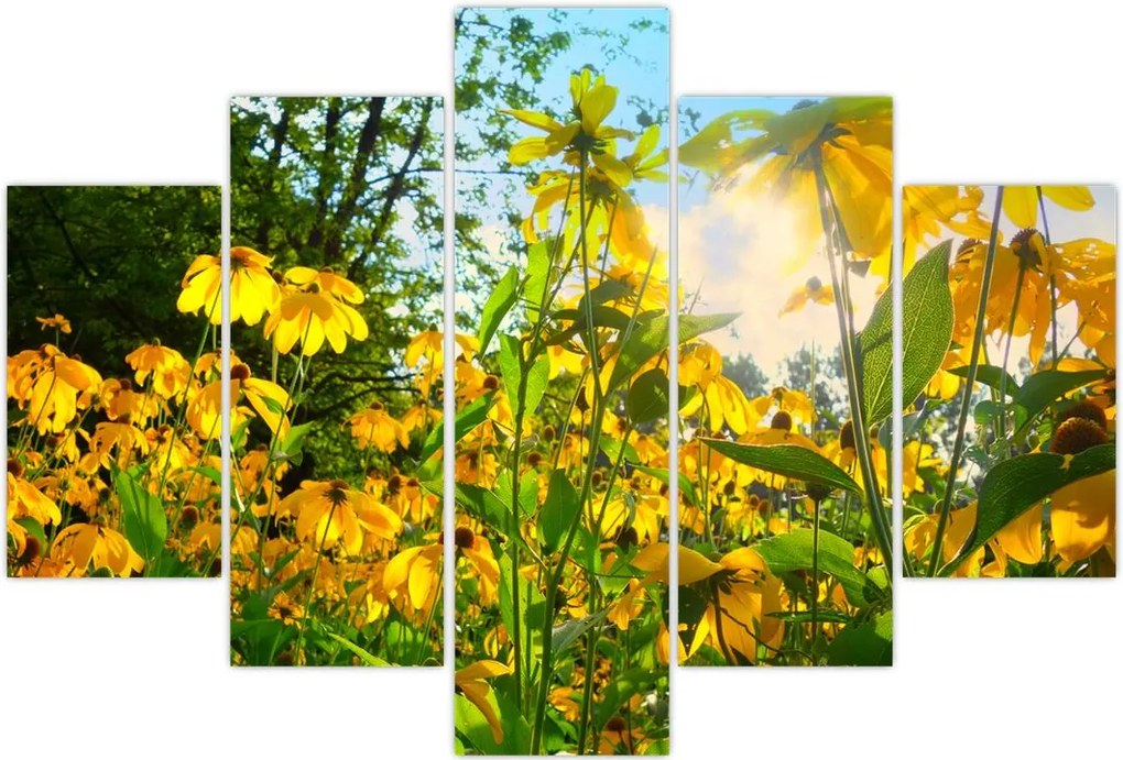 Tablou - Flori galbene (150x105 cm)