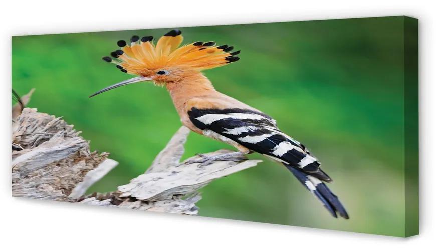 Tablouri canvas Copac papagal colorat
