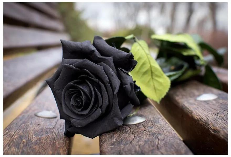 Fototapet Trandafir negru
