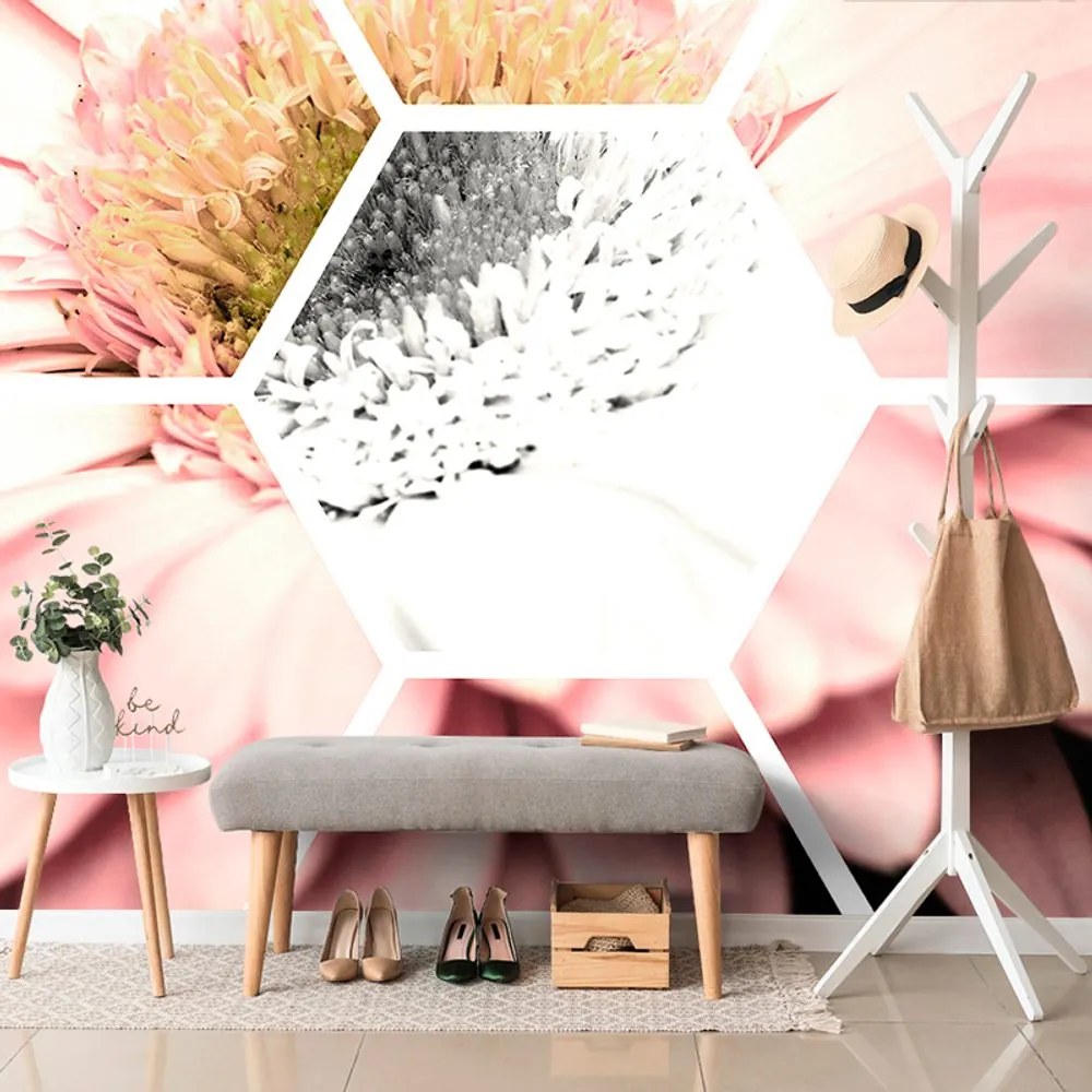 Tapet gerbera într-un hexagon