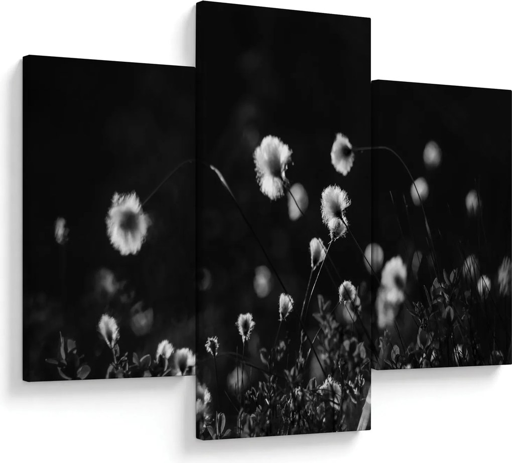 Tablou - Pajiște cu iarbă de cozonac N⁰1 (90x60 cm)
