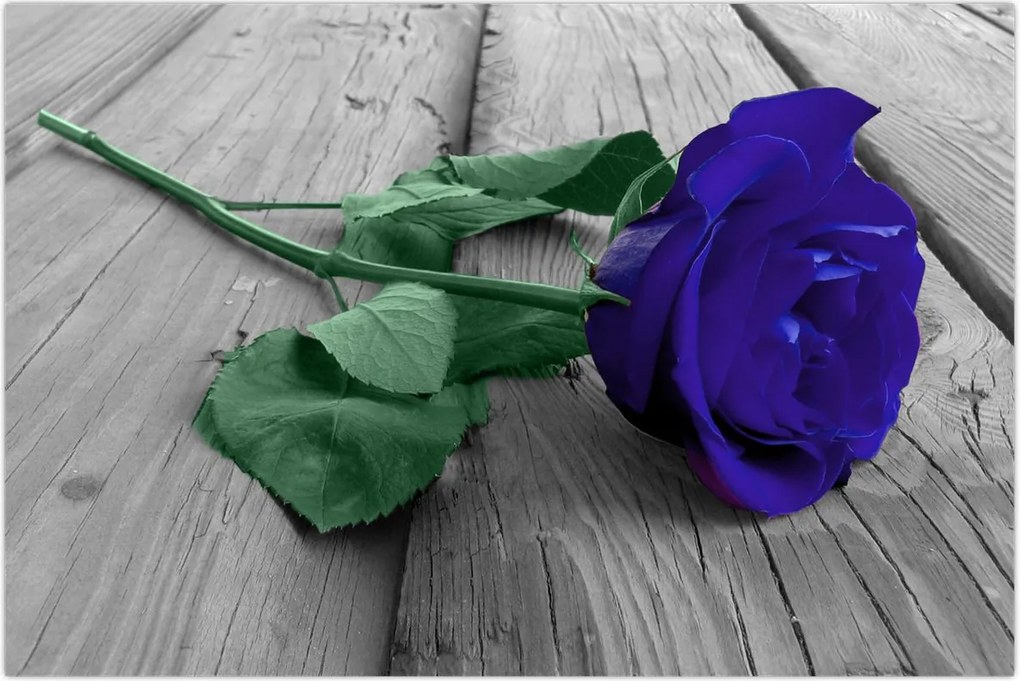 Tablou - Trandafir albastru cu tulpina verde (90x60 cm)