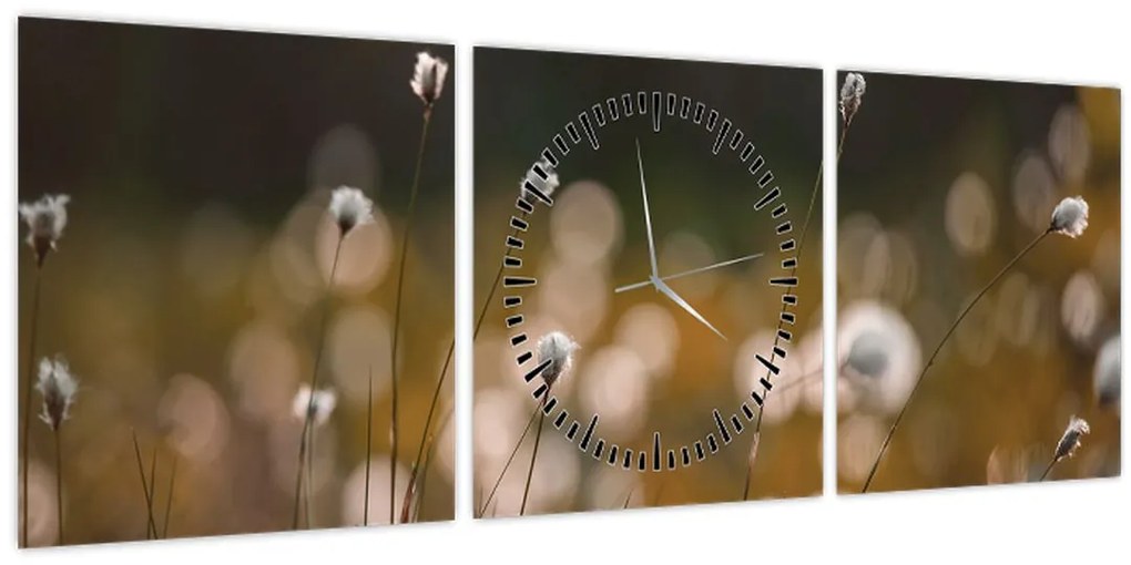 Tablou - Pajiște cu iarbă de cozonac N⁰2 (cu ceas) (90x30 cm)