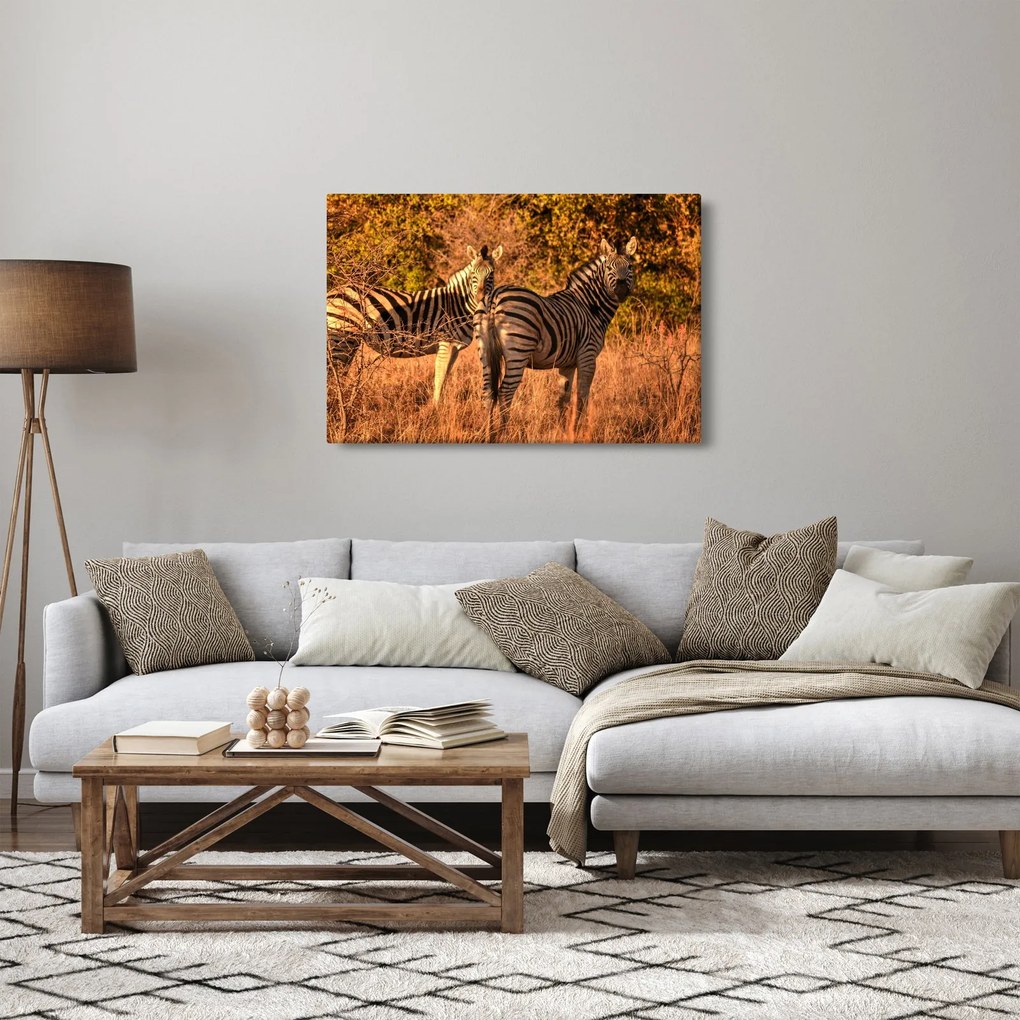 Tablou cu zebre (90x60 cm)