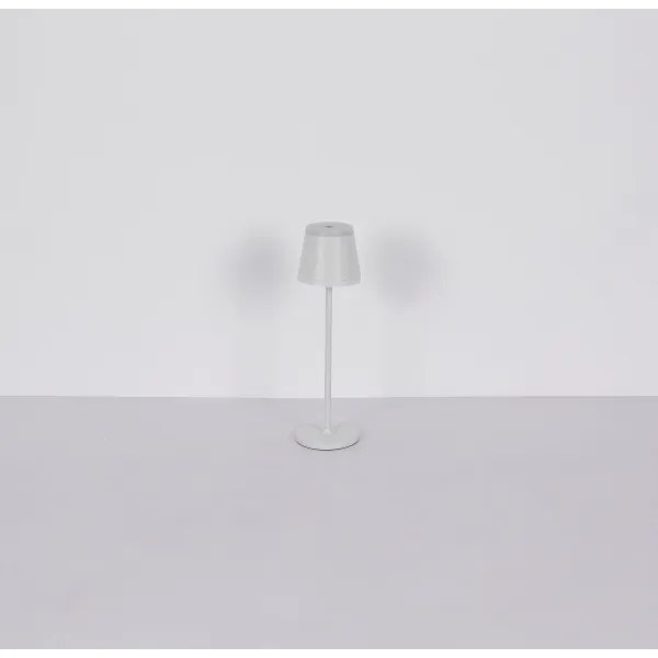 Globo 58433W - Lampă de birou LED tactilă RIDLEY LED/4,6W/230V IP54 dimabilă