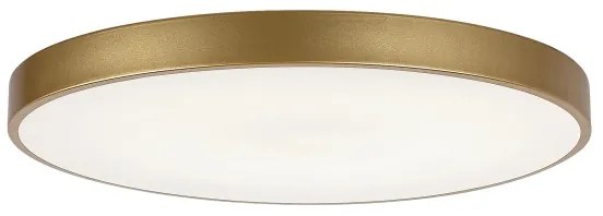 Rabalux 71038 -LED Plafonieră LED dimabilă TESIA LED/60W/230V 3000-6000K+telecomandă