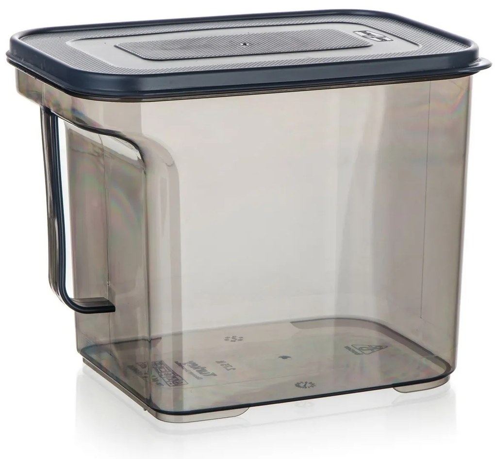 Banquet Cutie de depozitare cu mâner ZOYA 2,75 l,fumurie, 2,75 l