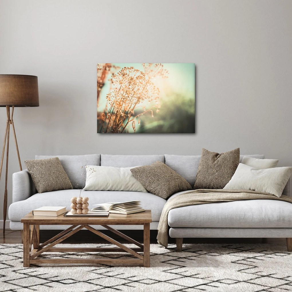 Tablou - Plante după ploaie (70x50 cm)