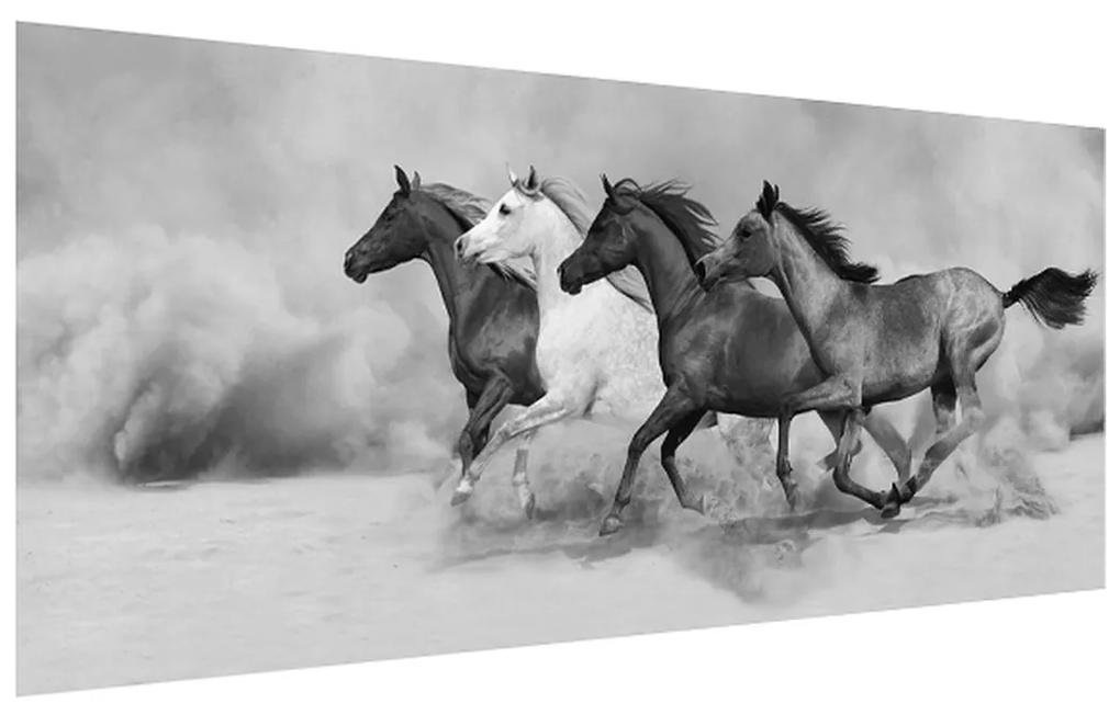 Tablou alb negru cu cai (120x50 cm), în 40 de alte dimensiuni noi