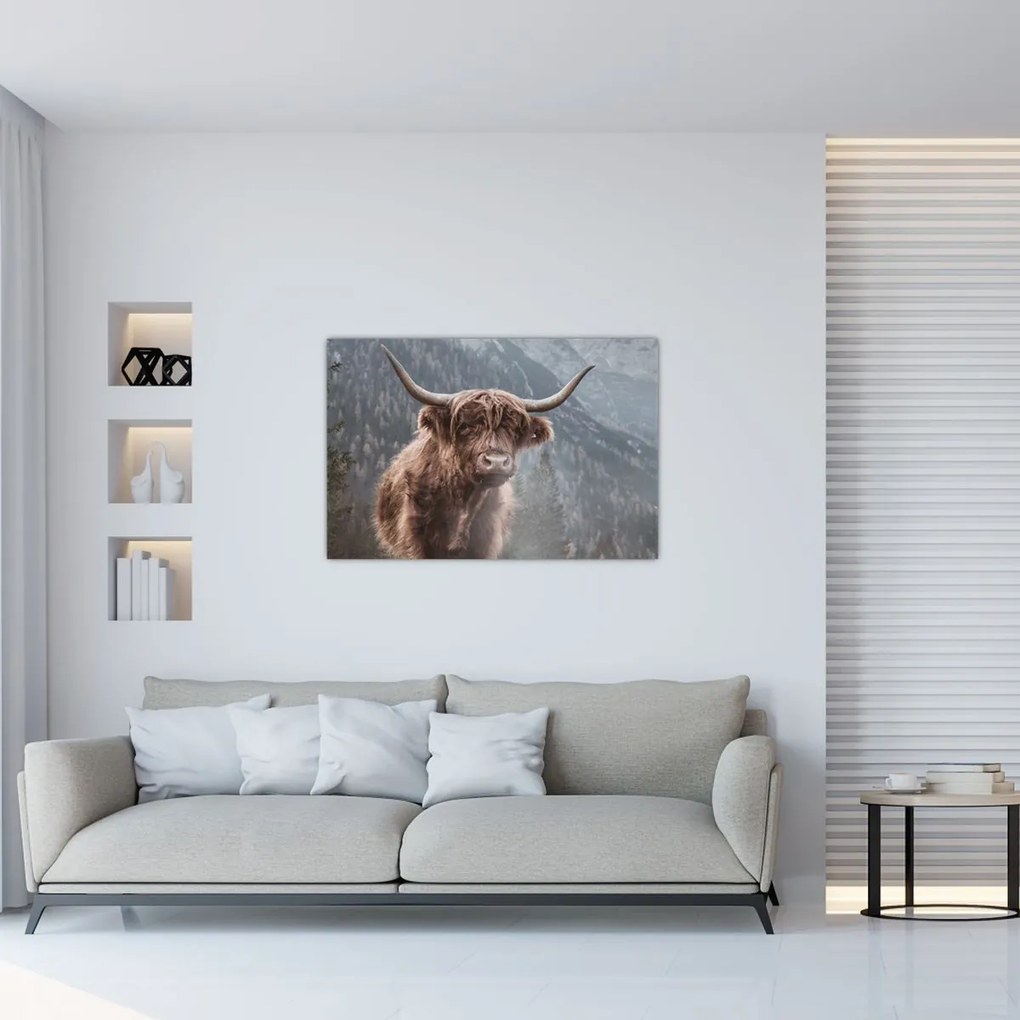 Tablou - Vaca Highlander (90x60 cm)