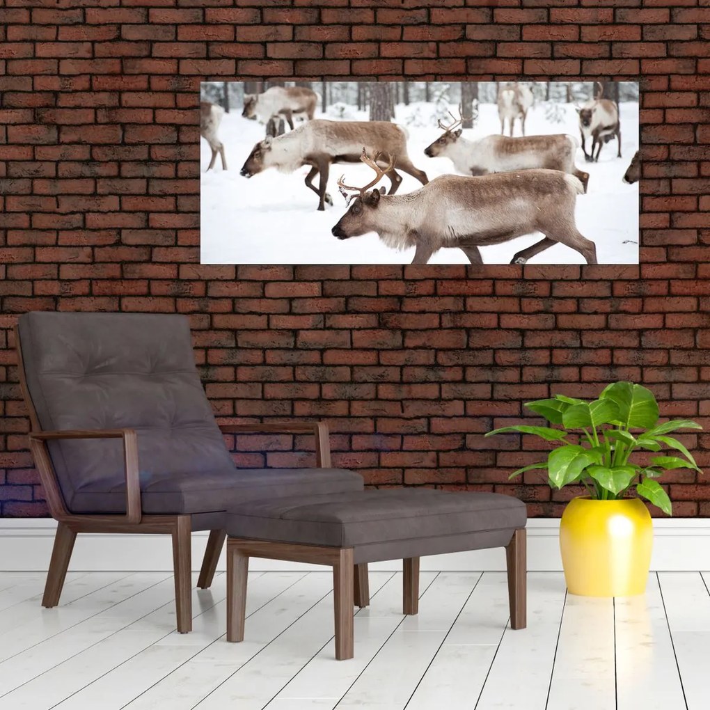 Tablou - Renul (120x50 cm)