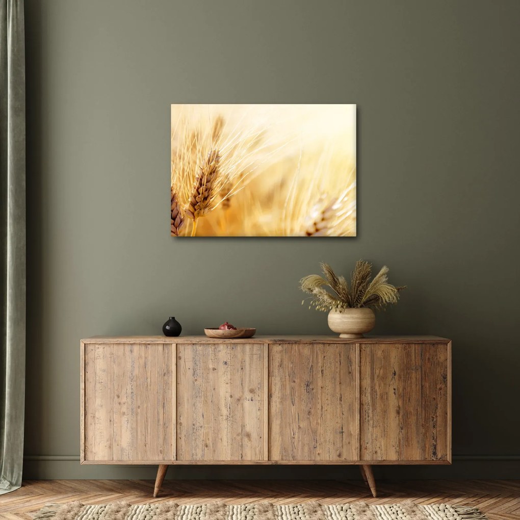 Tablou- detaliu cu (70x50 cm)