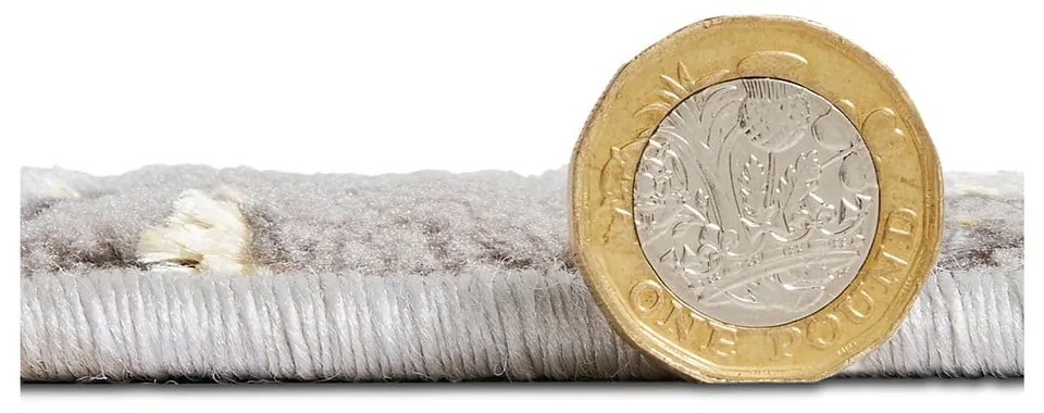 Covor gri/auriu 170x120 cm Apollo - Think Rugs