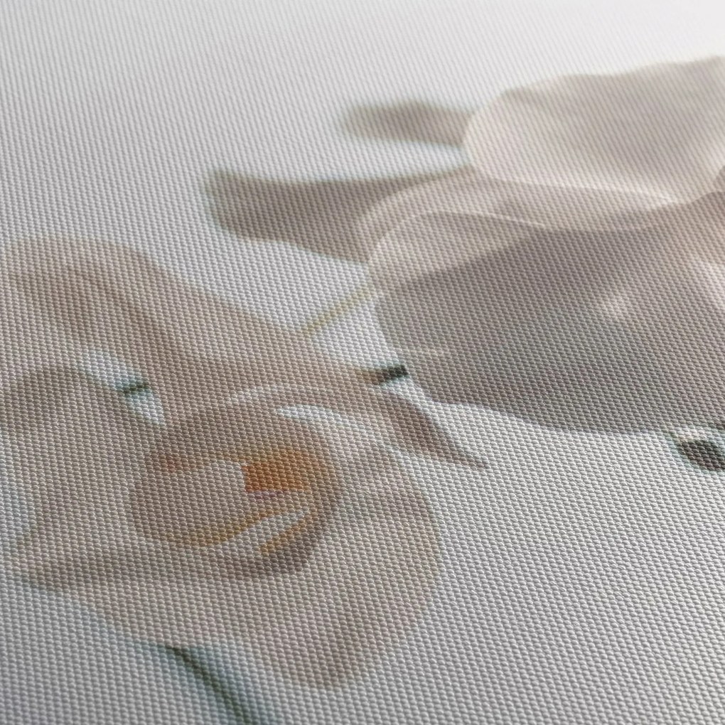Tablou cu orhidee albă (cu ceas) (90x30 cm)