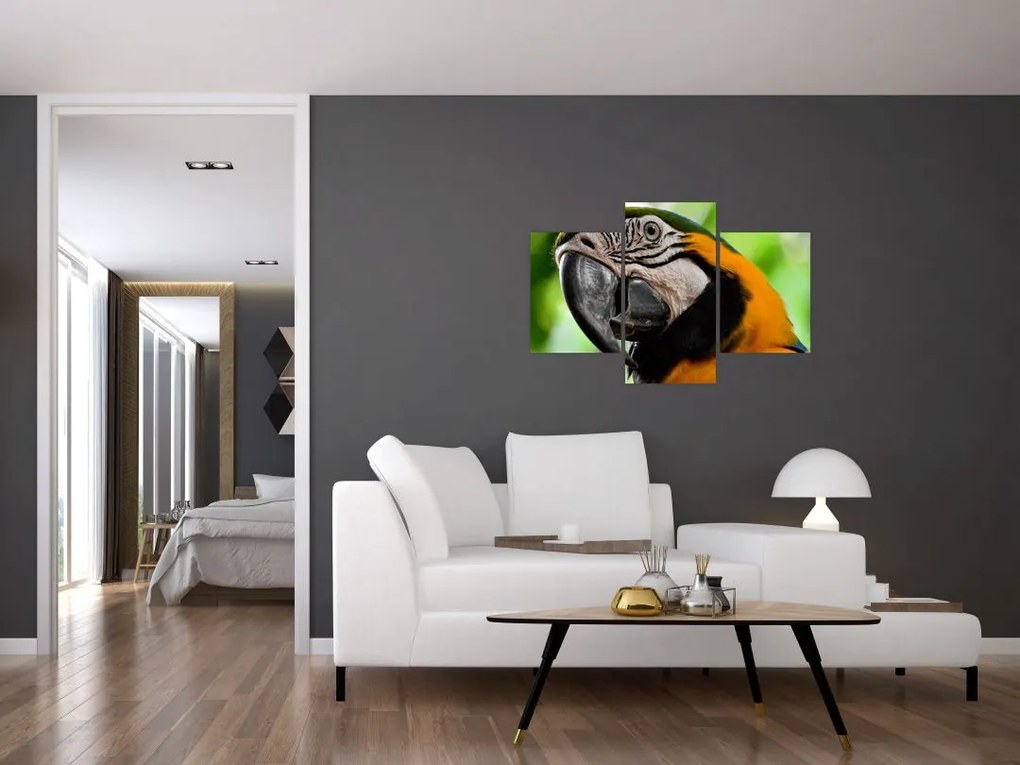 Tablou cu papagal (90x60 cm)