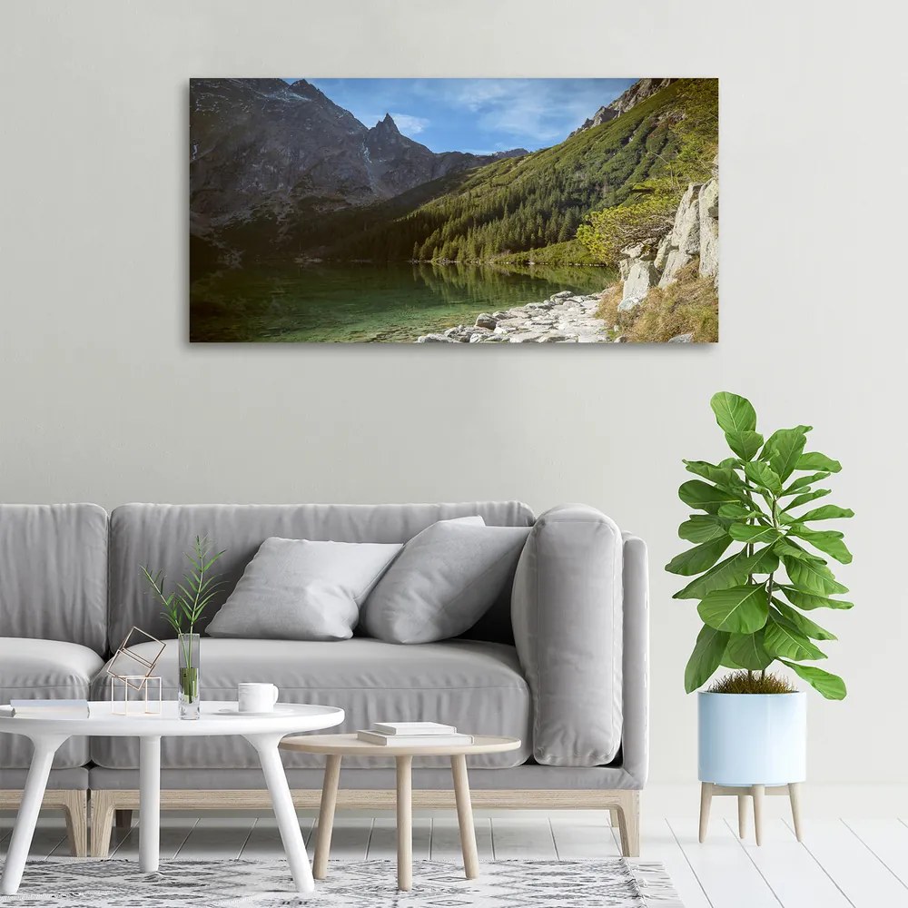 Pictură pe pânză Marine ochi tatry