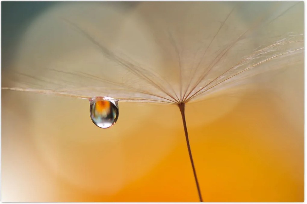 Tablou - Flori macro (90x60 cm)