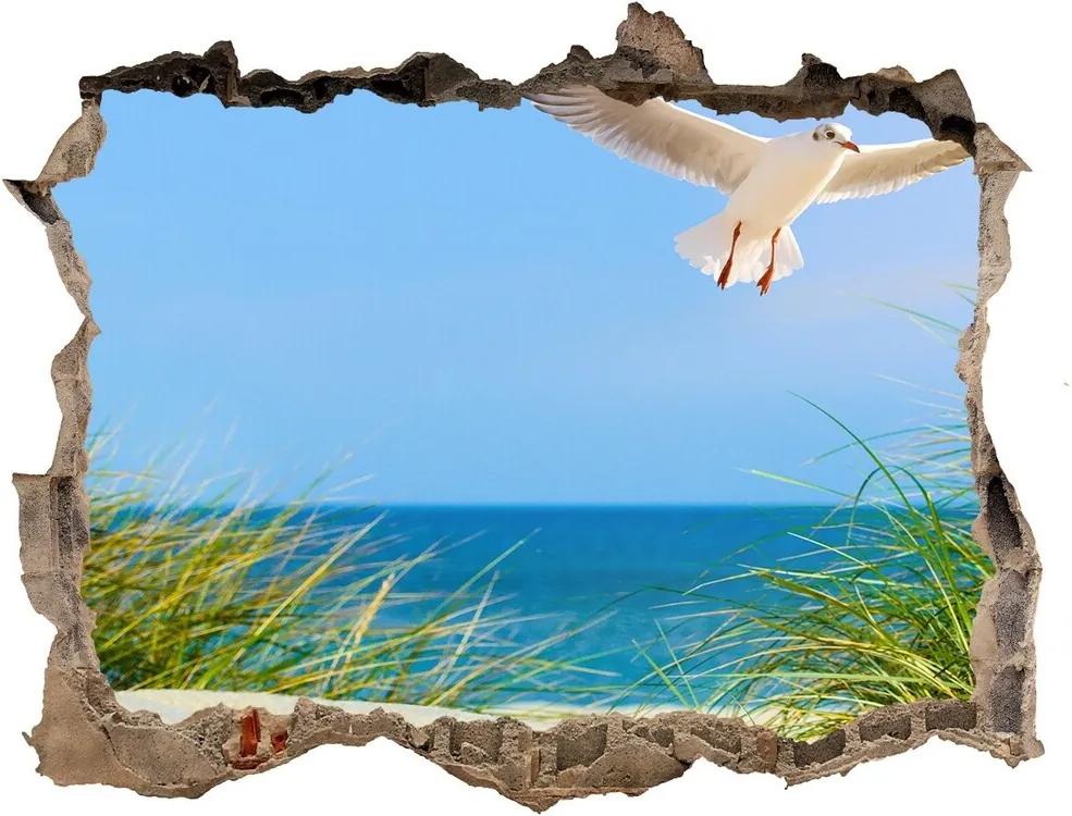 Fototapet un zid spart cu priveliște Seagull pe plajă