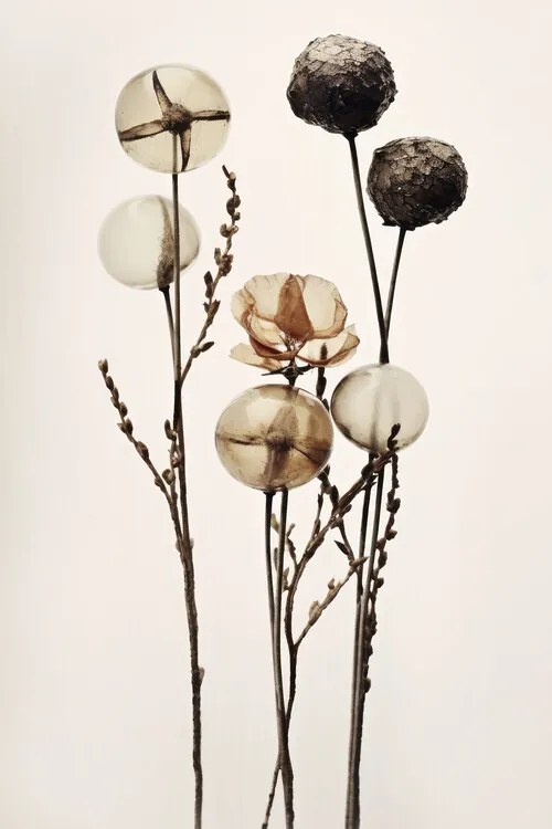 Ilustrație Glass Ball Flowers, Treechild