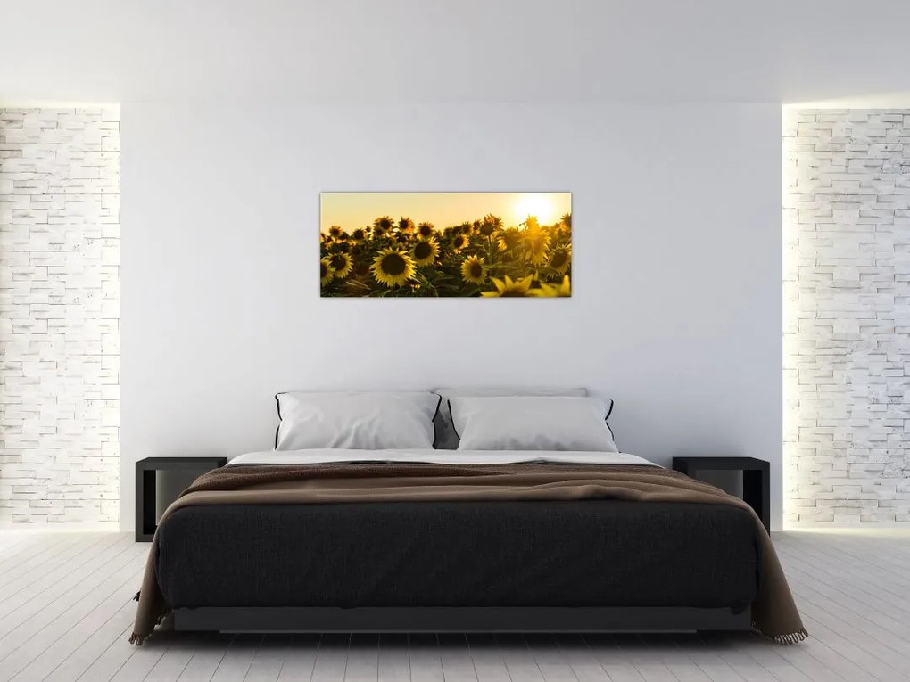 Tablou cu lan de floarea soarelui (120x50 cm)