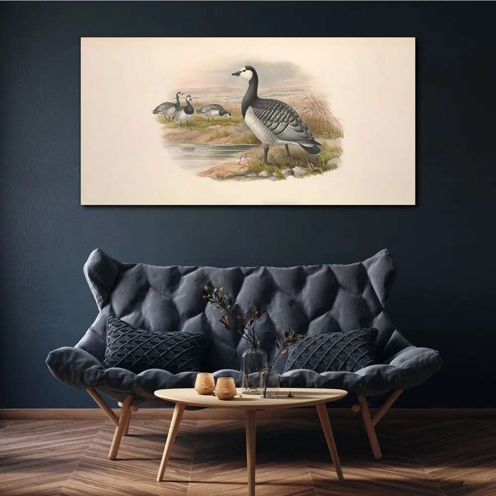 Tablou canvas Păsări Animale Bej