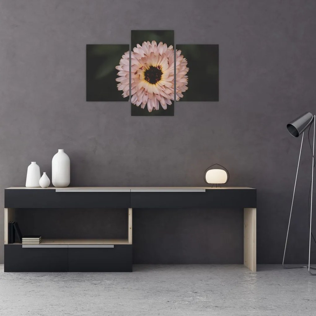 Tablou cu floare portocalie (90x60 cm)