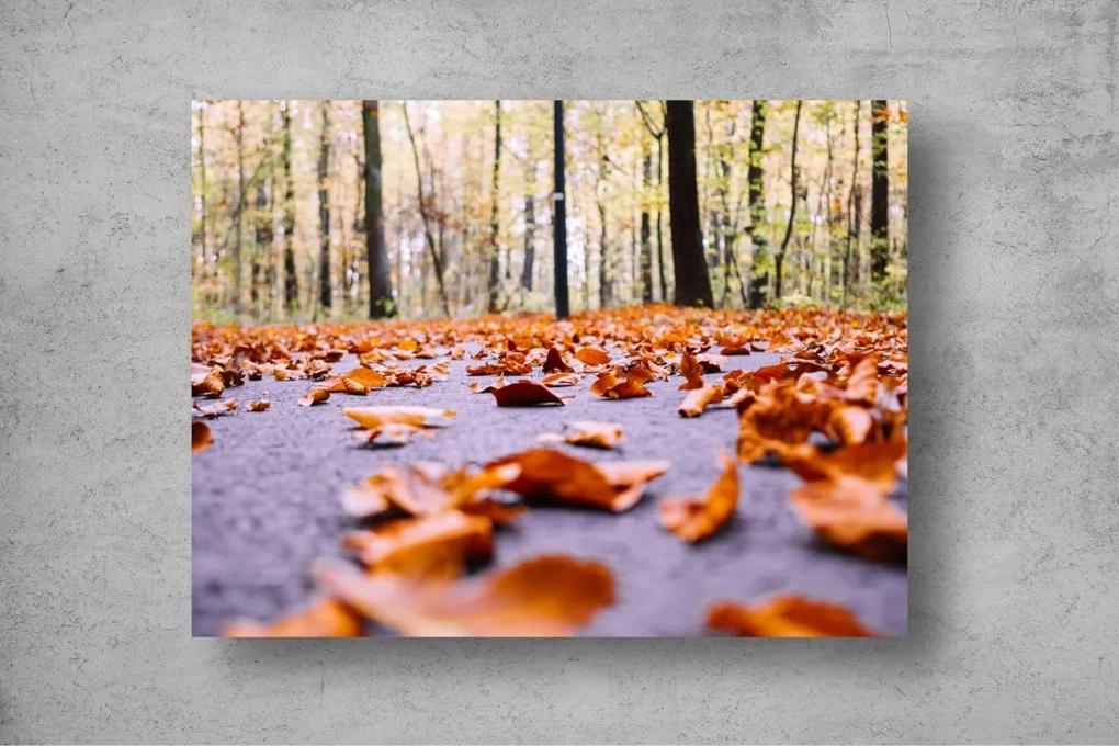 Tapet Premium Canvas - Peisaj de toamna cu frunze pe asfalt