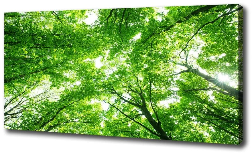 Pictură pe pânză Pădure verde