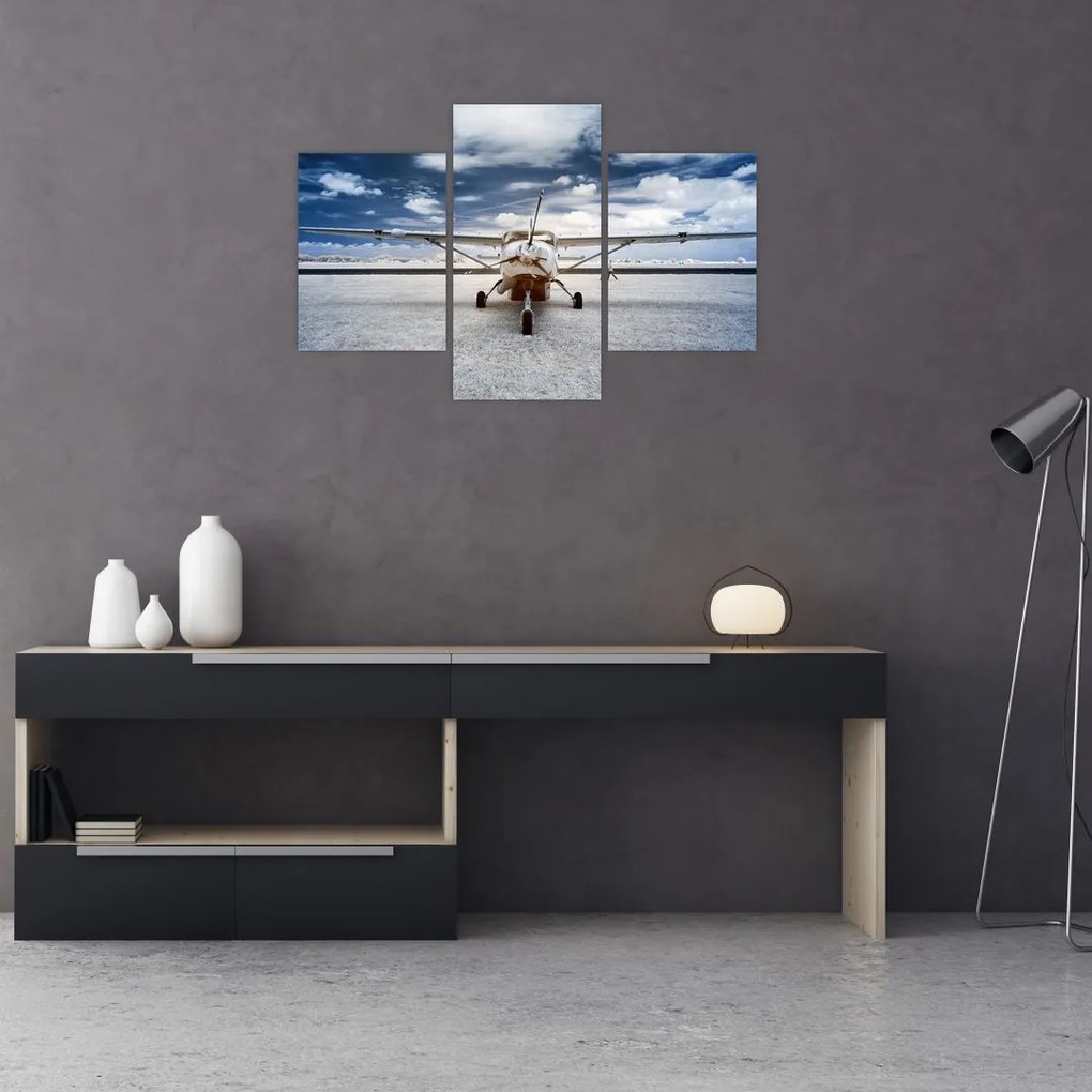 Tablou cu aeroplan cu motor (90x60 cm)