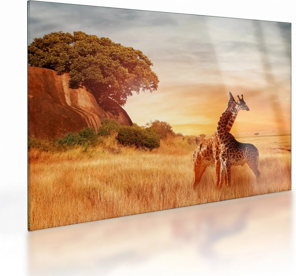 Tablou pe sticlă Girafe în Africa (70x50 cm)