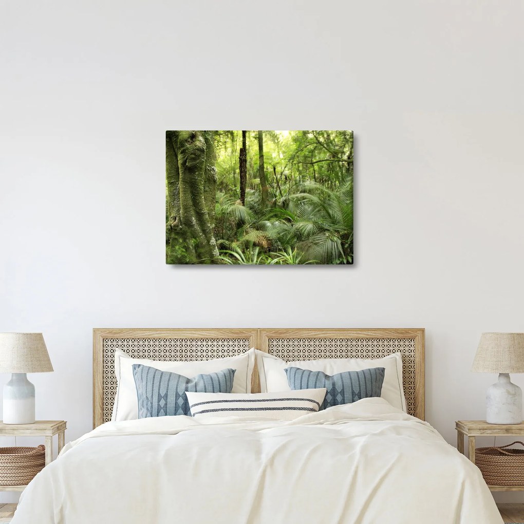 Tablou - Pădure tropicală (70x50 cm)