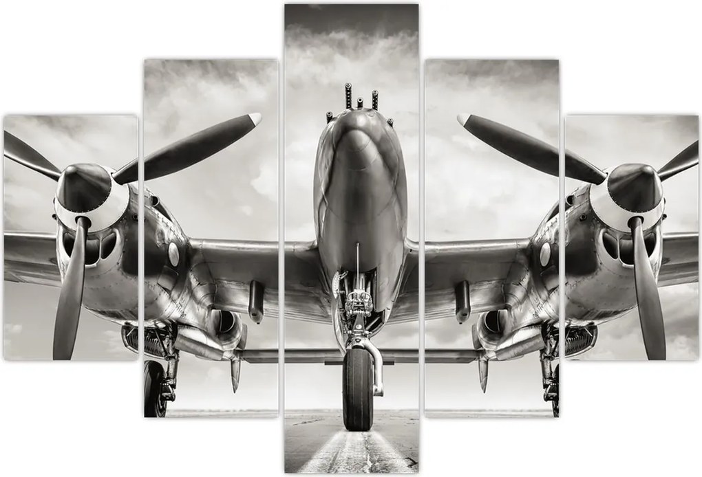 Tablou - Warbird (150x105 cm)