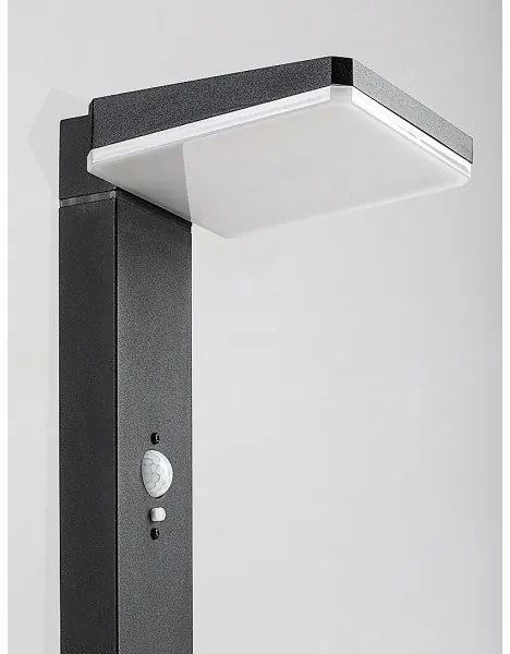 Rabalux 77079 - Lampă solară LED exterior LASSET 4,4W 3,7V IP54 antracit