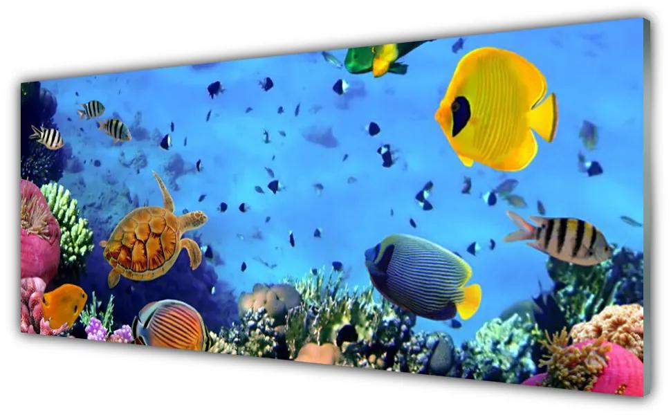 Tablouri acrilice Coral Reef subacvatice de pește Natura Albastru Galben Multi