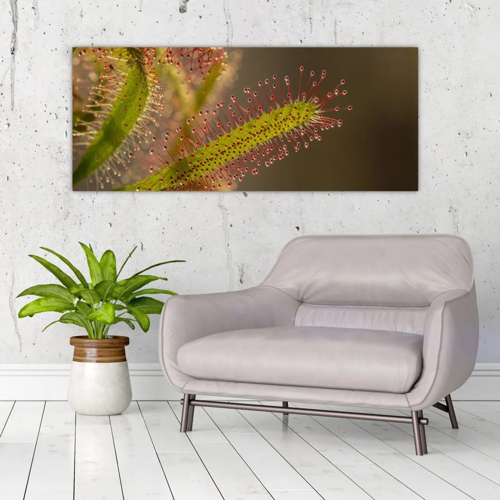 Tablou cu plantă (120x50 cm)
