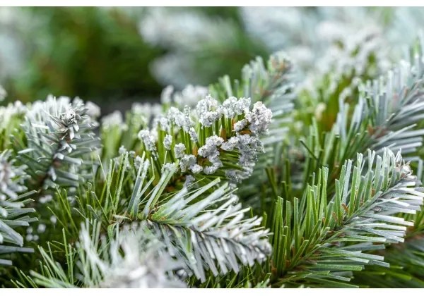 Coronă de Crăciun, diametru 54 cm