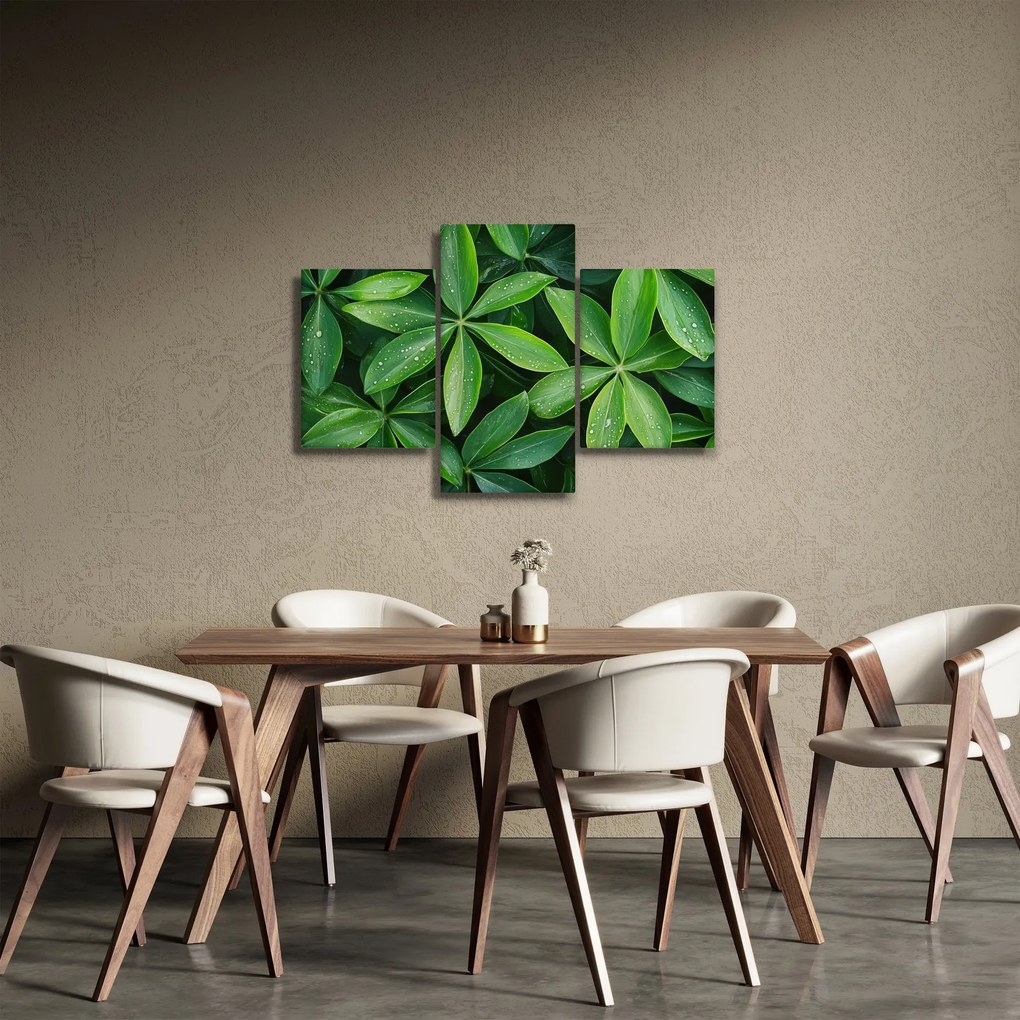 Tablou - Frunze cu picături de rouă (90x60 cm)