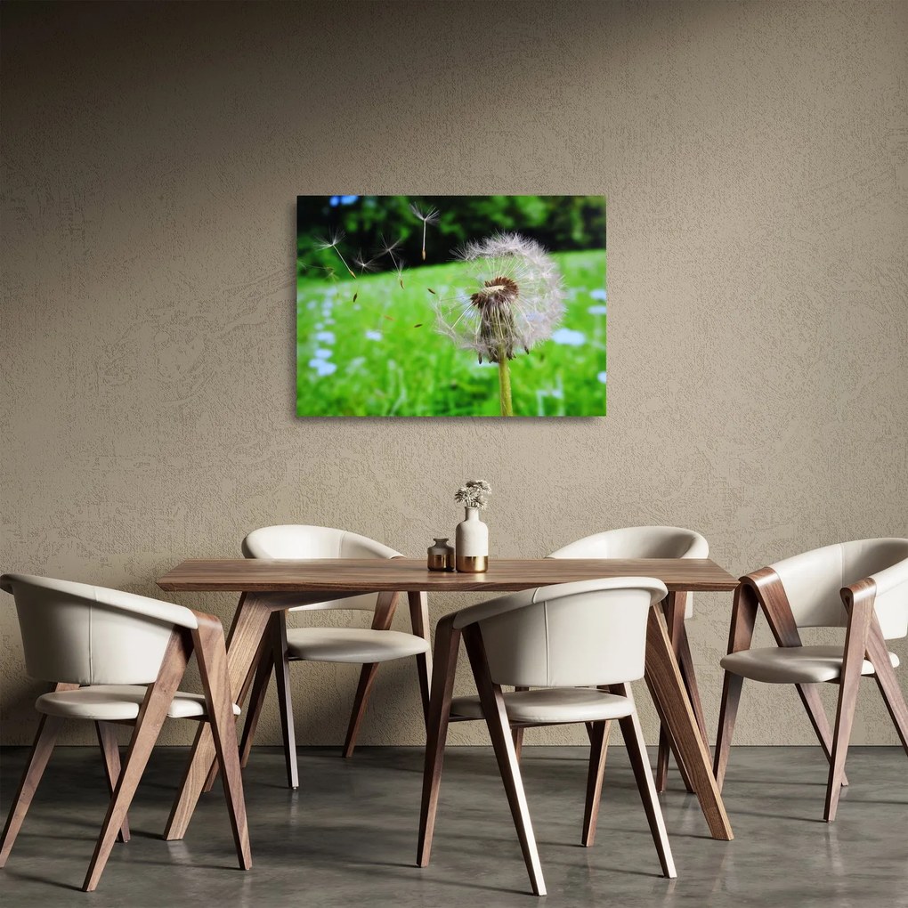 Tablou pe sticlă cu păpădie (70x50 cm)