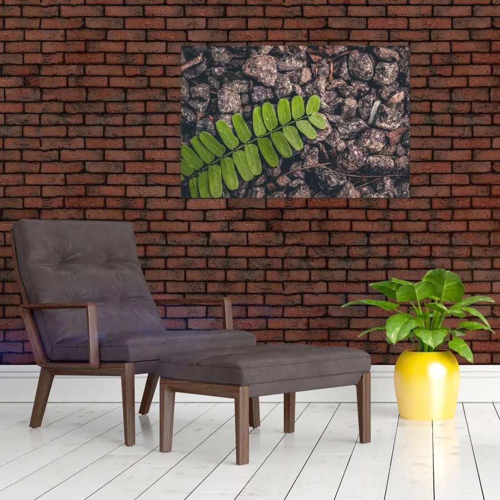 Tablou cu planta verde (90x60 cm)