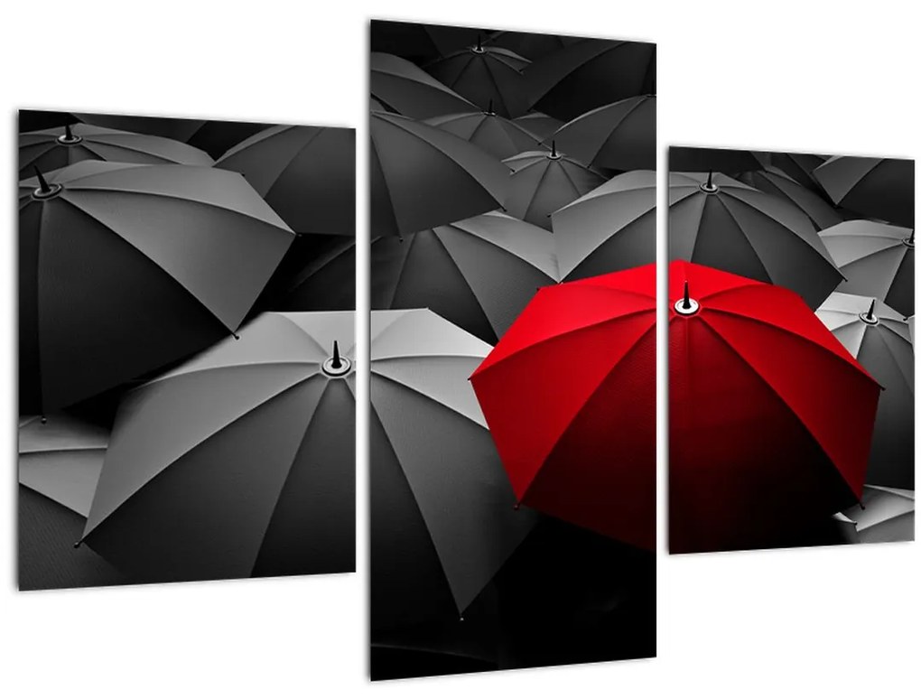 Tablou cu umbrele deschise (90x60 cm)